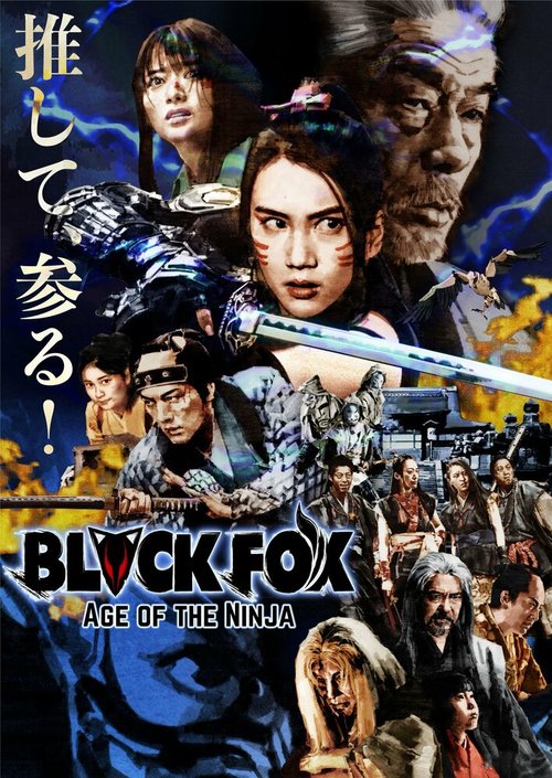 Смотреть Чёрная лиса: Эпоха ниндзя онлайн в HD качестве 720p-1080p