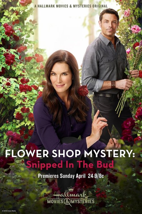 Смотреть Flower Shop Mystery: Snipped in the Bud в HD качестве 720p-1080p