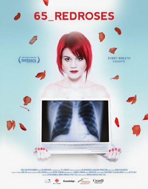 Смотреть  онлайн в HD качестве 720p-1080p