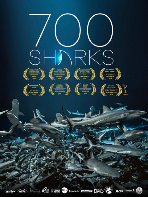 Смотреть 700 акул онлайн в HD качестве 720p-1080p