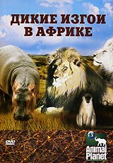 Смотреть Animal Planet: Дикие изгои в Африке онлайн в HD качестве 720p-1080p