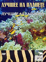 Смотреть Animal Planet: Лучшее на планете. Лучшие аквариумы земли онлайн в HD качестве 720p-1080p