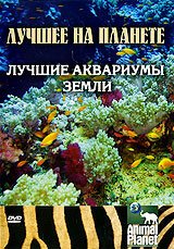 Смотреть Animal Planet: Лучшие аквариумы земли онлайн в HD качестве 720p-1080p