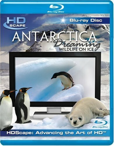 Смотреть Антарктика — Дикая жизнь на льду онлайн в HD качестве 720p-1080p