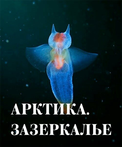 Смотреть Арктика. Зазеркалье онлайн в HD качестве 720p-1080p