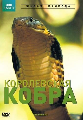 Смотреть BBC: Королевская кобра онлайн в HD качестве 720p-1080p