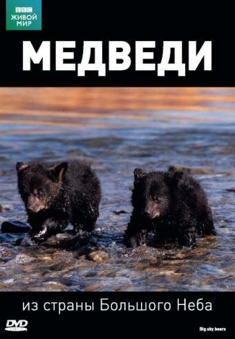 Смотреть BBC: Медведи из страны большого неба онлайн в HD качестве 720p-1080p