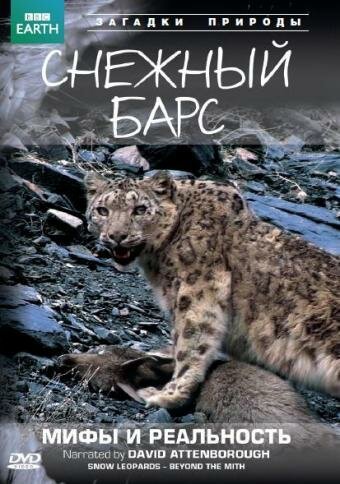 Смотреть BBC: Снежный барс: Мифы и реальности онлайн в HD качестве 720p-1080p