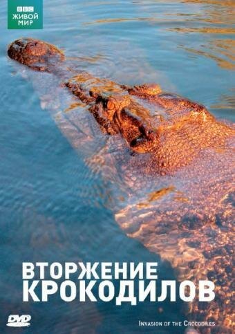 Смотреть BBC: Вторжение крокодилов онлайн в HD качестве 720p-1080p