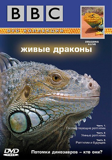 Смотреть BBC: Живые драконы онлайн в HD качестве 720p-1080p