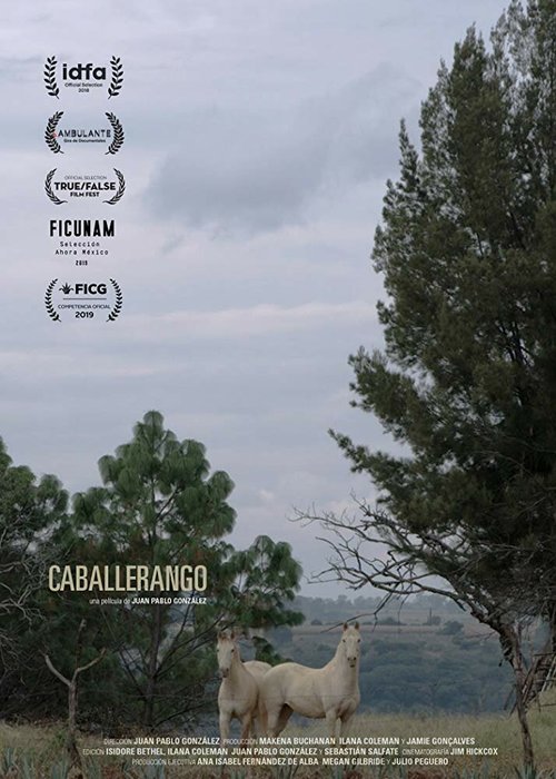Смотреть  онлайн в HD качестве 720p-1080p