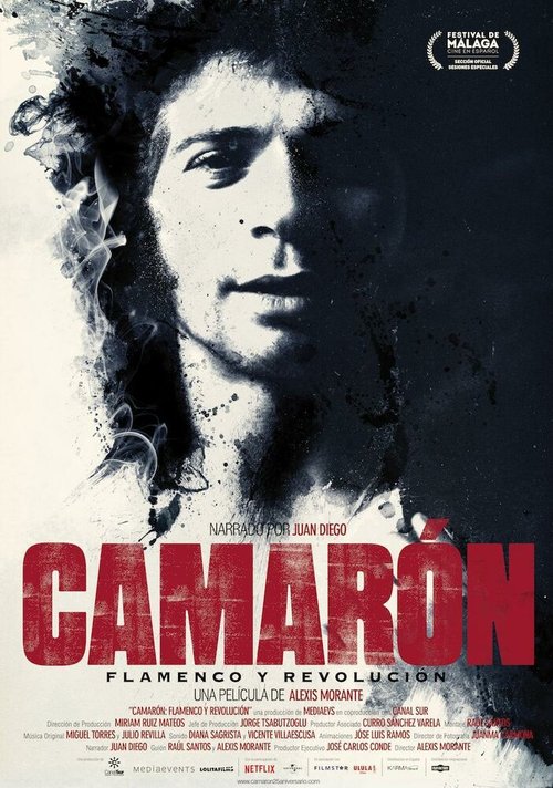 Смотреть  онлайн в HD качестве 720p-1080p
