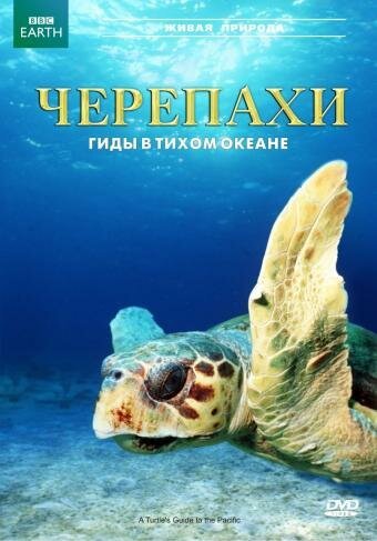 Смотреть Черепахи: Гиды в Тихом океане онлайн в HD качестве 720p-1080p