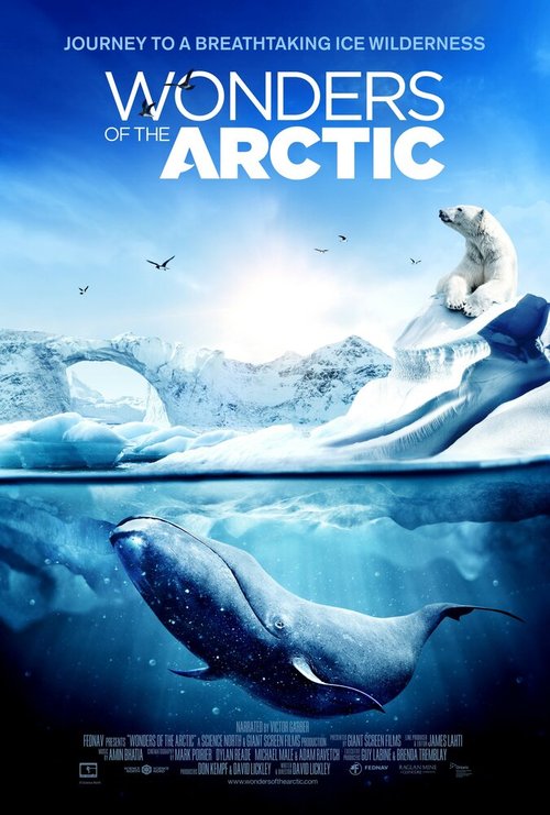Смотреть Чудеса Арктики онлайн в HD качестве 720p-1080p
