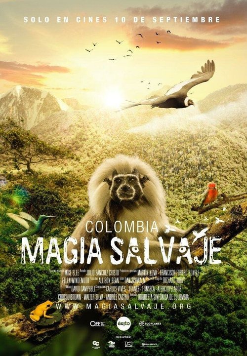 Смотреть  онлайн в HD качестве 720p-1080p