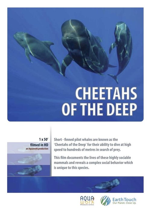 Смотреть Дельфины — гепарды морских глубин онлайн в HD качестве 720p-1080p