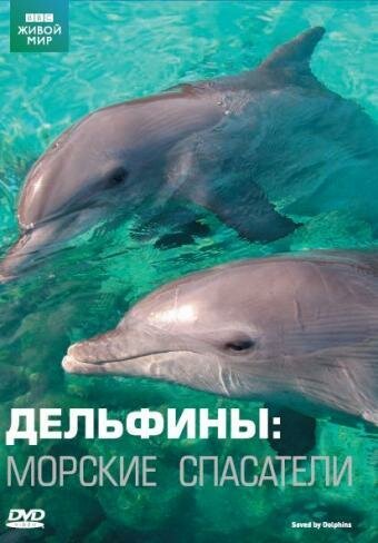 Смотреть Дельфины: Морские спасатели онлайн в HD качестве 720p-1080p