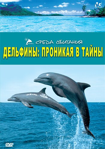 Смотреть Дельфины: Проникая в тайны онлайн в HD качестве 720p-1080p
