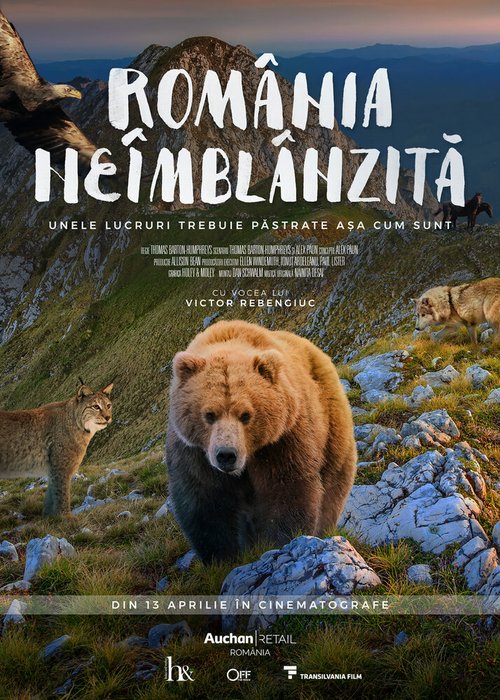 Смотреть Дикая Румыния онлайн в HD качестве 720p-1080p