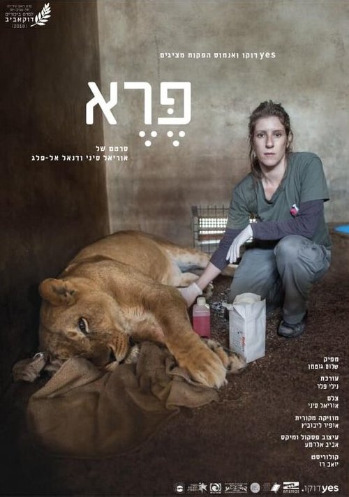 Смотреть Дикие онлайн в HD качестве 720p-1080p
