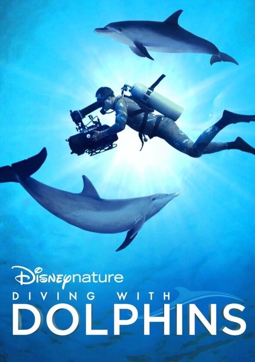 Смотреть Diving with Dolphins в HD качестве 720p-1080p