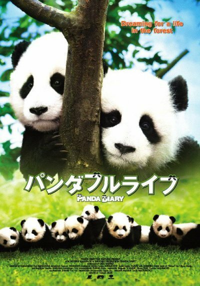 Смотреть Дневник панды онлайн в HD качестве 720p-1080p