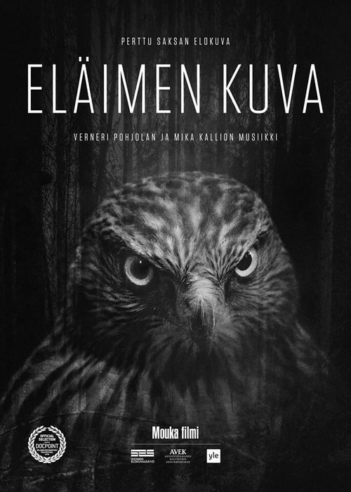 Смотреть  онлайн в HD качестве 720p-1080p