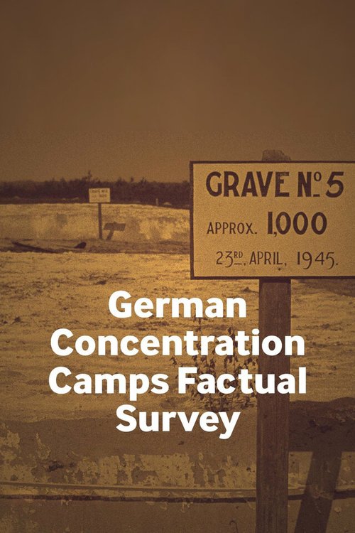 Смотреть Факты о немецких концентрационных лагерях онлайн в HD качестве 720p-1080p