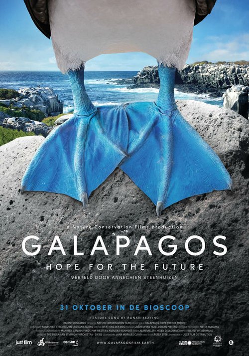 Смотреть Галапагос: Надежда будущего в HD качестве 720p-1080p