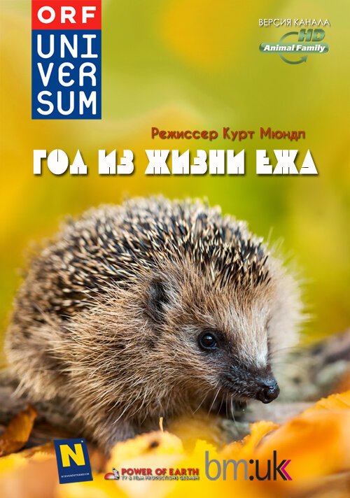 Смотреть Год из жизни ежа онлайн в HD качестве 720p-1080p