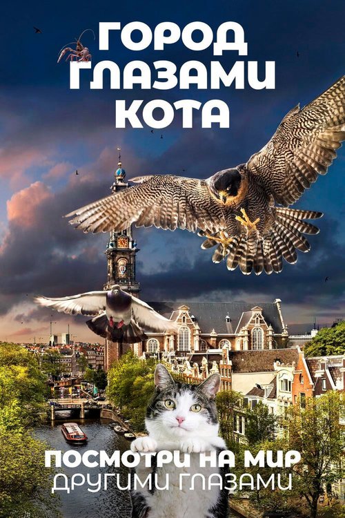 Смотреть Город глазами кота онлайн в HD качестве 720p-1080p
