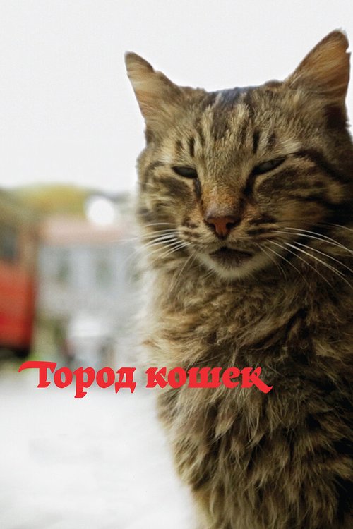 Смотреть Город кошек онлайн в HD качестве 720p-1080p
