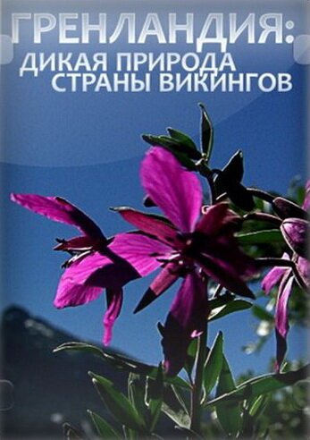 Смотреть Гренландия: Дикая природа страны викингов онлайн в HD качестве 720p-1080p