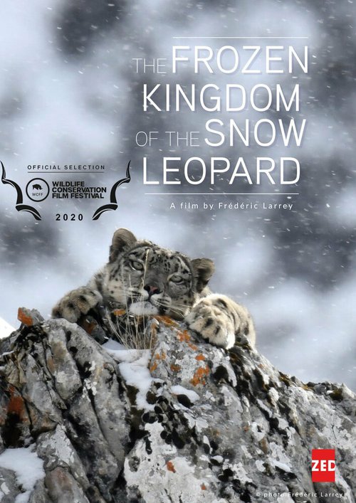 Смотреть Холодное королевство снежного барса онлайн в HD качестве 720p-1080p