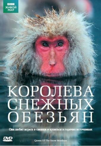 Смотреть Королева снежных обезьян онлайн в HD качестве 720p-1080p