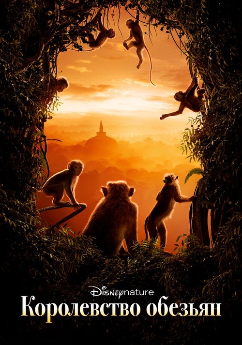 Смотреть Королевство обезьян онлайн в HD качестве 720p-1080p