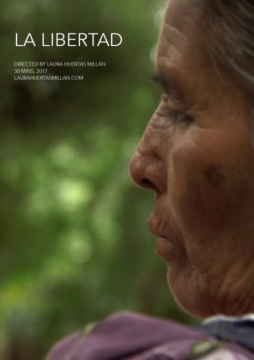 Смотреть  онлайн в HD качестве 720p-1080p