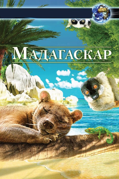 Смотреть Мадагаскар 3D онлайн в HD качестве 720p-1080p