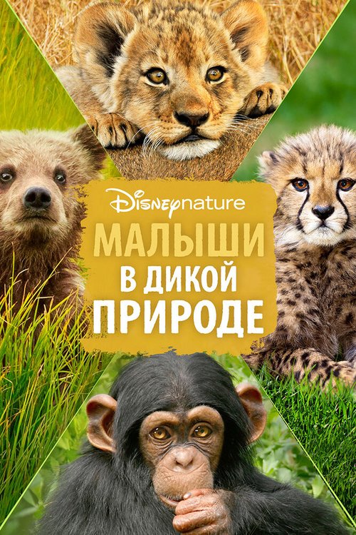 Смотреть Малыши в дикой природе онлайн в HD качестве 720p-1080p