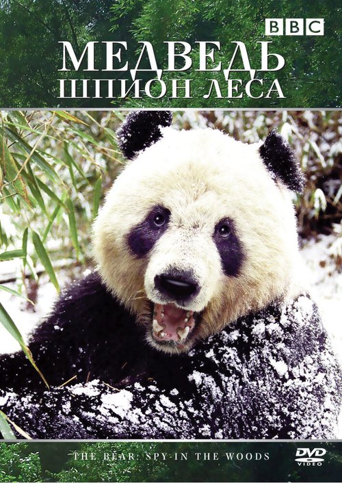 Смотреть Медведь: Шпион леса онлайн в HD качестве 720p-1080p