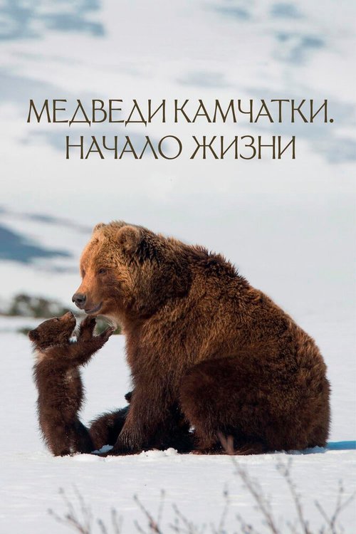 Смотреть Медведи Камчатки. Начало жизни онлайн в HD качестве 720p-1080p