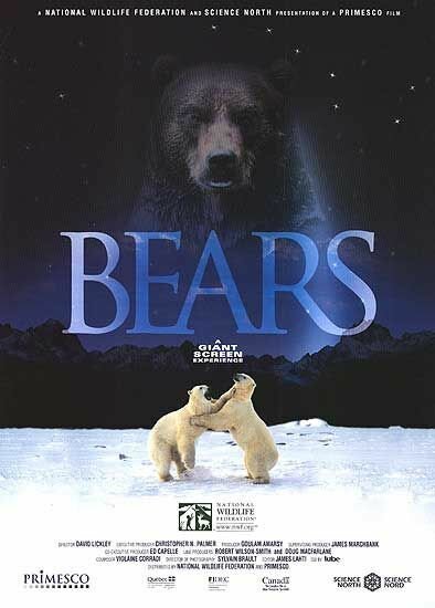 Смотреть Медведи онлайн в HD качестве 720p-1080p