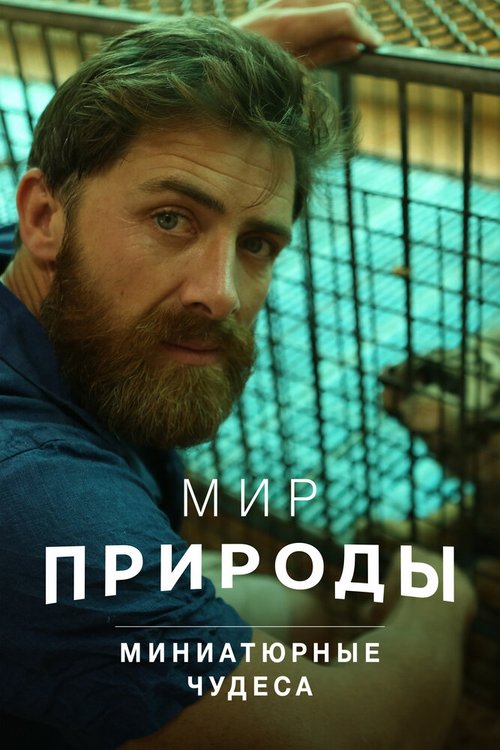 Смотреть Мир природы. Миниатюрные чудеса онлайн в HD качестве 720p-1080p