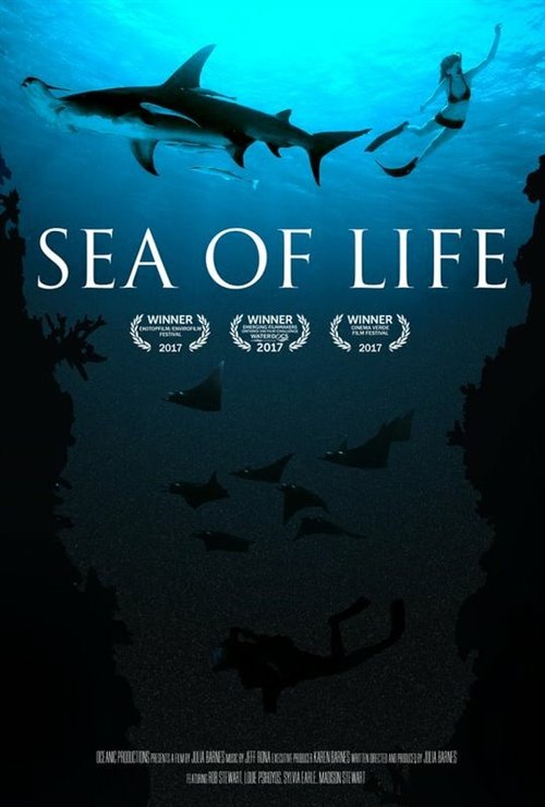 Смотреть Море жизни онлайн в HD качестве 720p-1080p