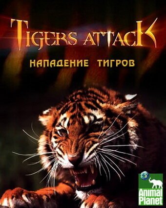 Смотреть Нападение тигров онлайн в HD качестве 720p-1080p