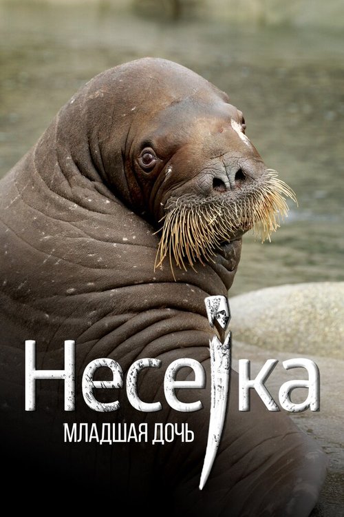 Смотреть Несейка. Младшая дочь онлайн в HD качестве 720p-1080p