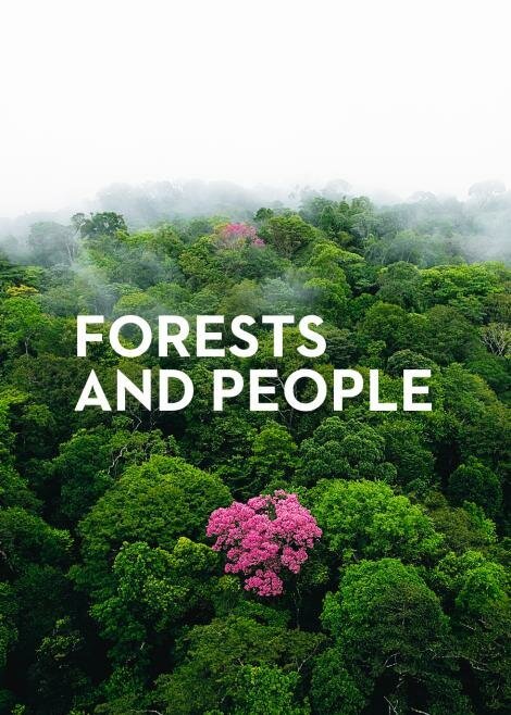 Смотреть О лесах и людях онлайн в HD качестве 720p-1080p
