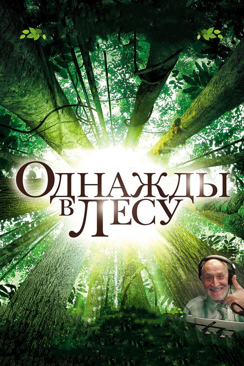 Смотреть Однажды в лесу онлайн в HD качестве 720p-1080p