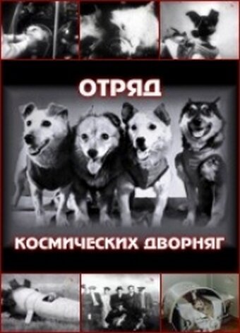 Смотреть Отряд космических дворняг онлайн в HD качестве 720p-1080p