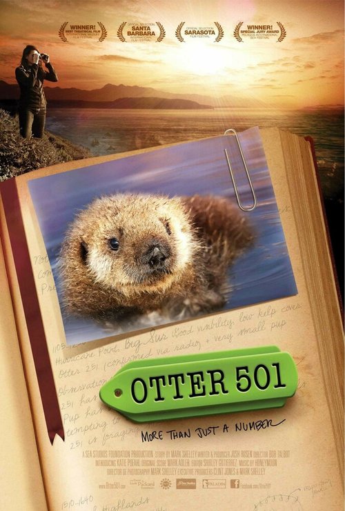 Смотреть  онлайн в HD качестве 720p-1080p